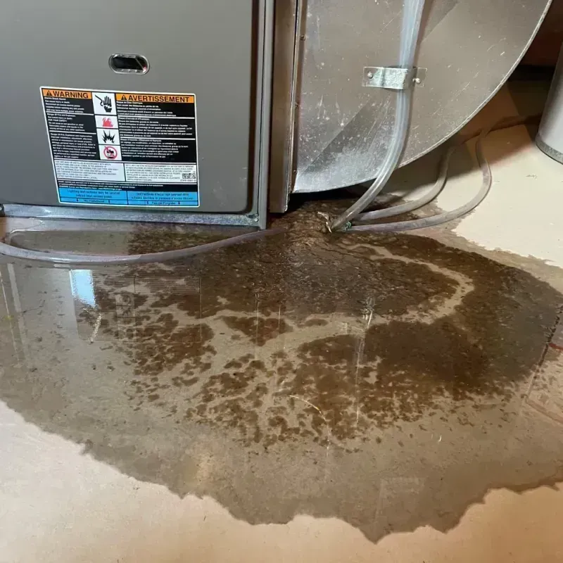 Appliance Leak Cleanup in Adams County, IL